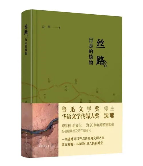 在凝视中穿越 沈苇《丝路》的植物性时空之旅